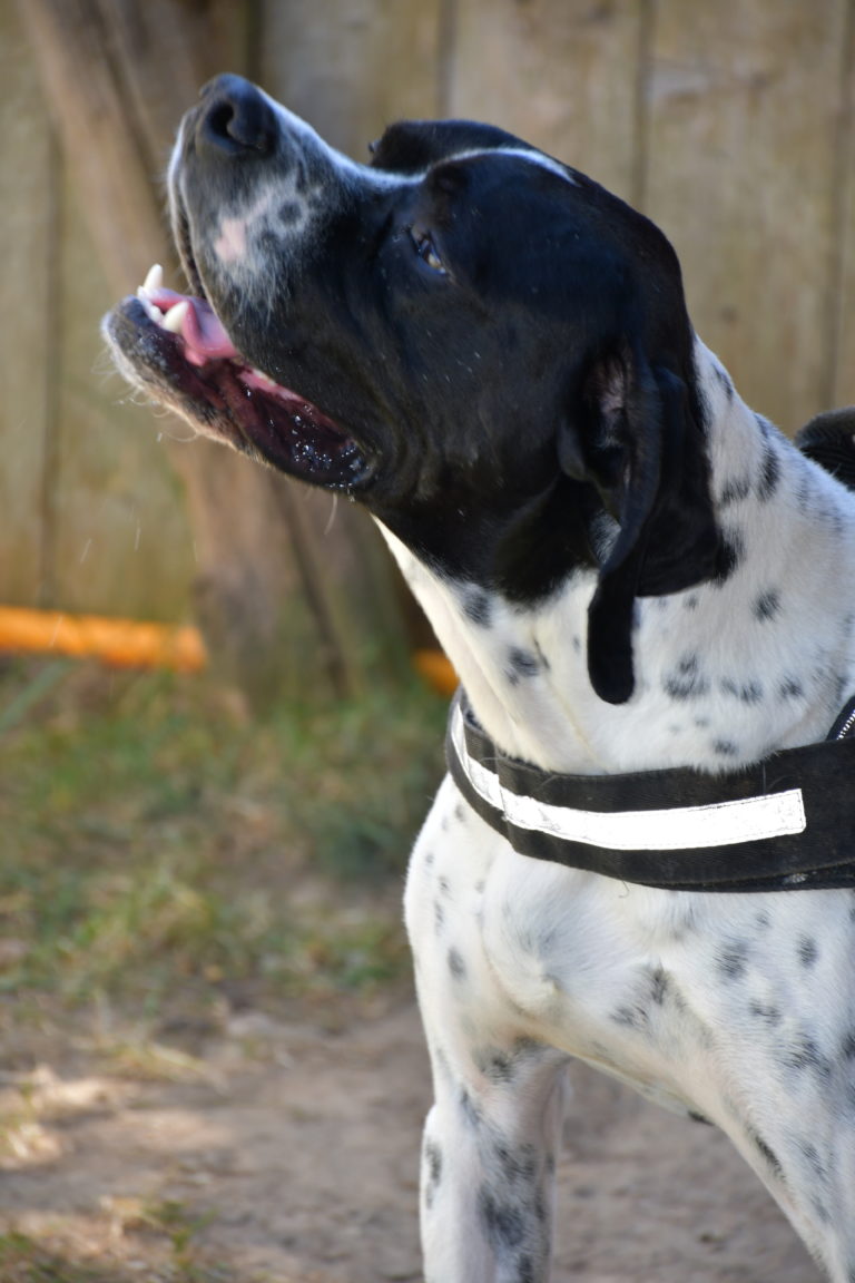 DSC_0405