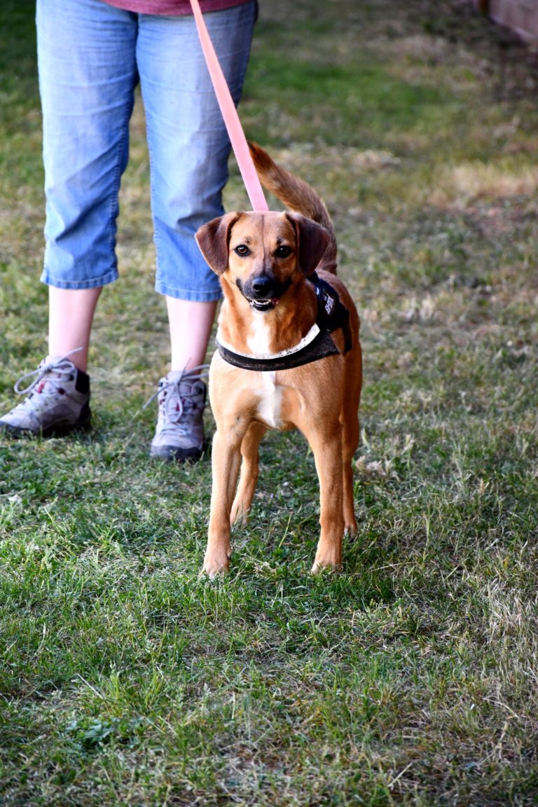 DSC_0448