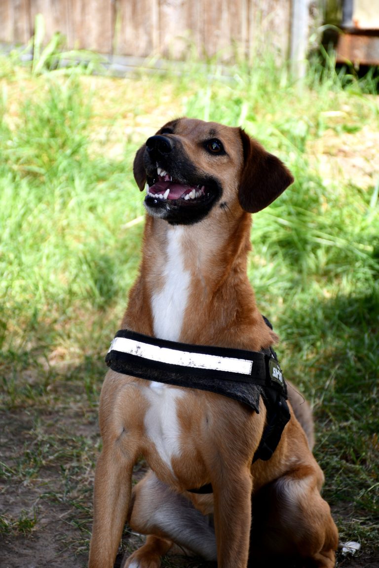 DSC_0452