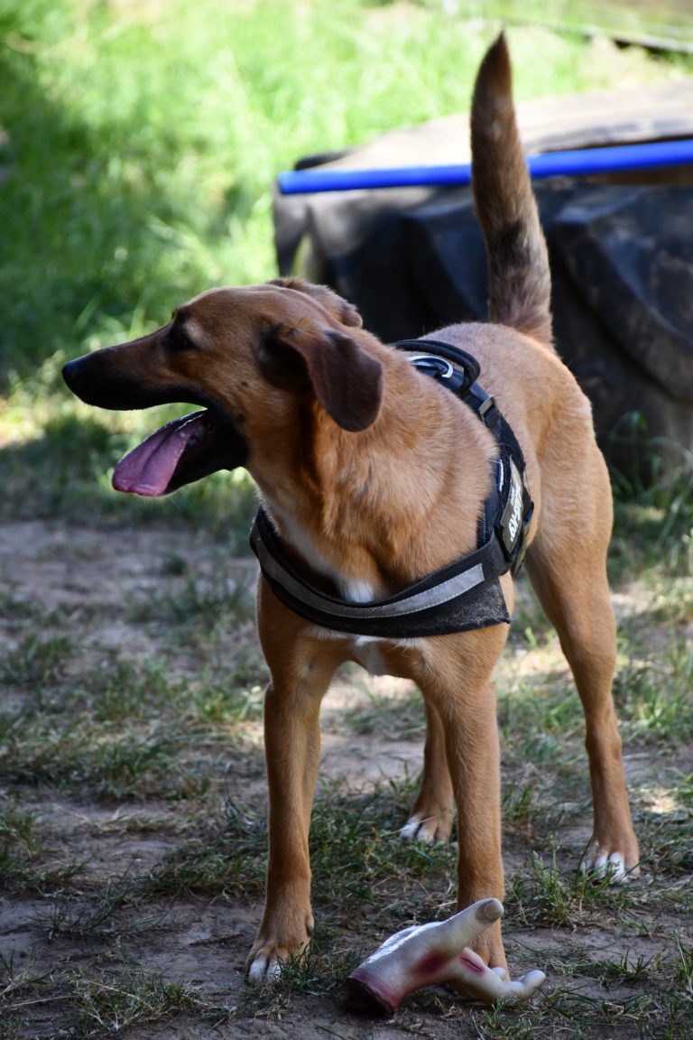 DSC_0458