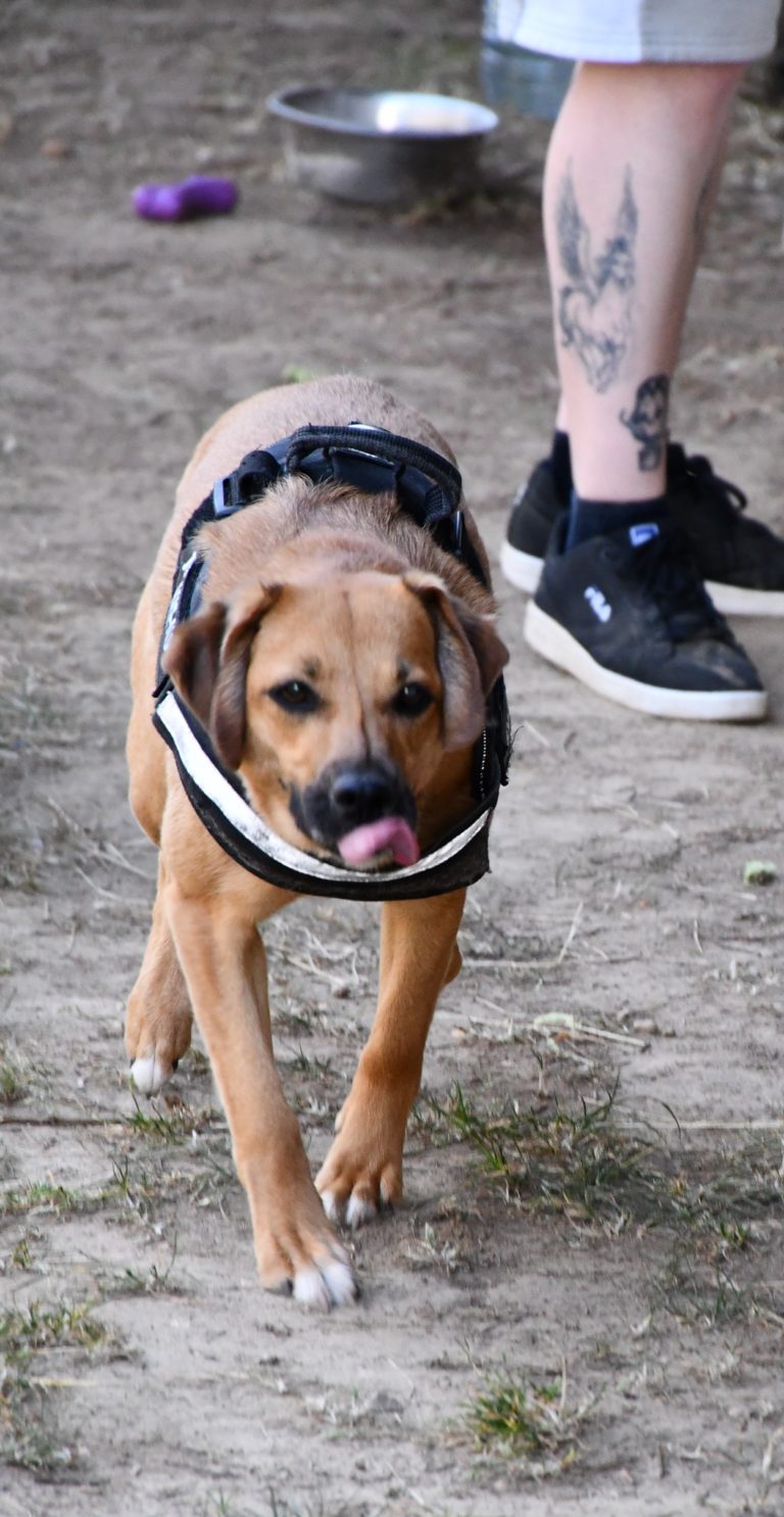 DSC_0465
