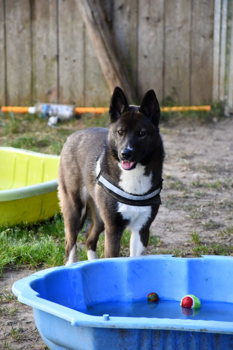 DSC_0488
