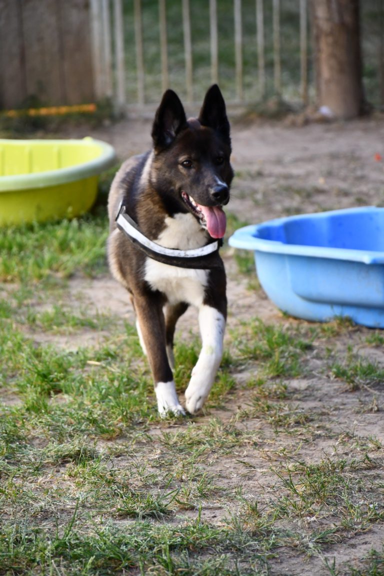 DSC_0506