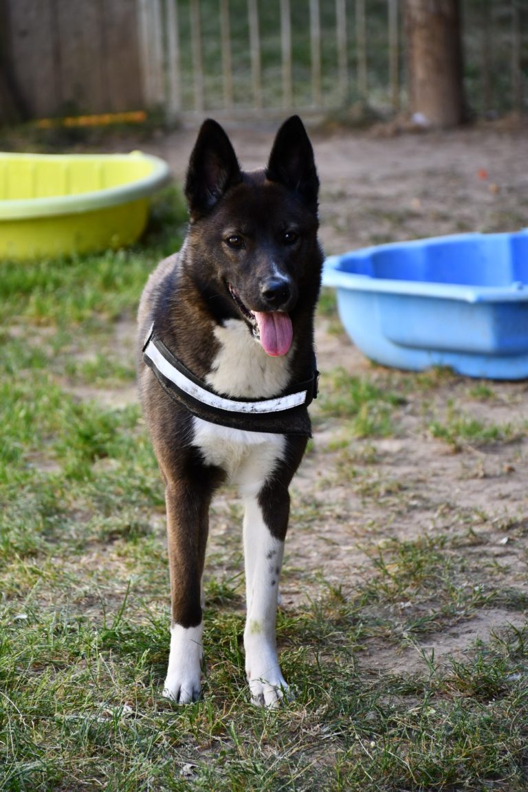 DSC_0510