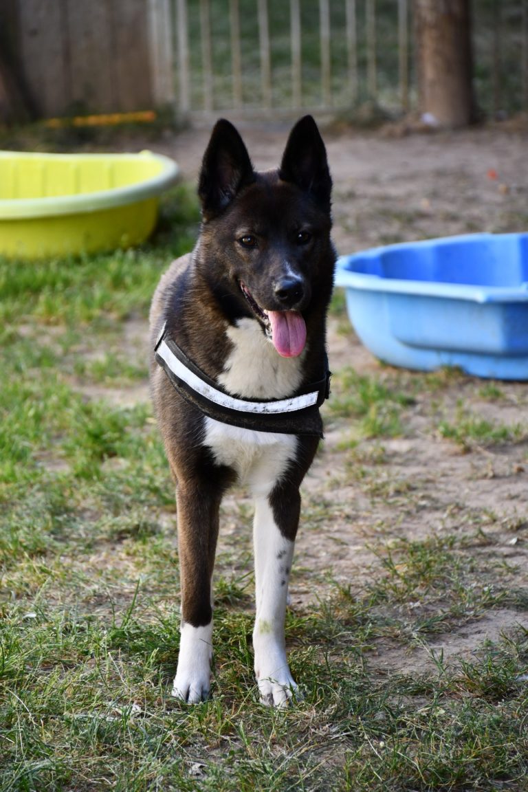 DSC_0512