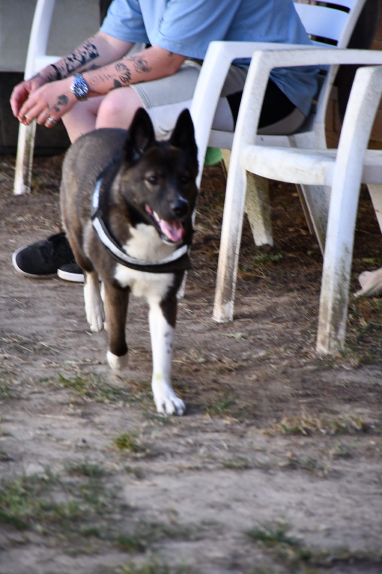 DSC_0513