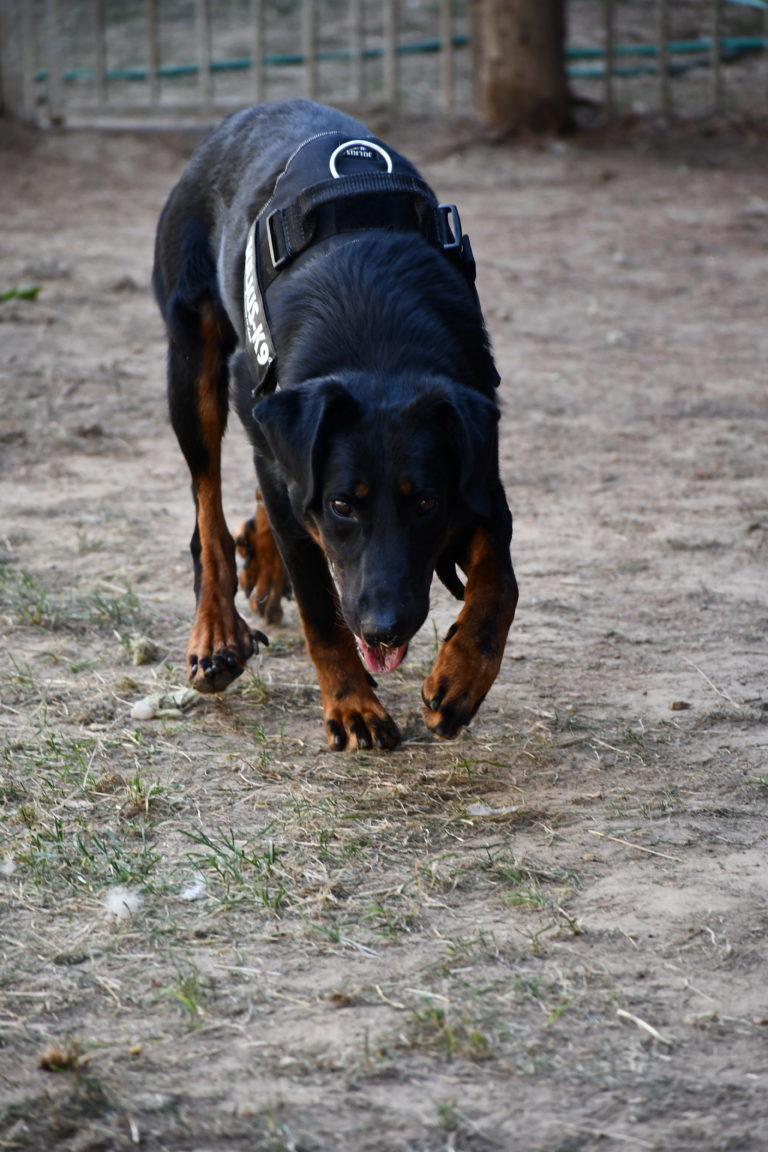 DSC_3748