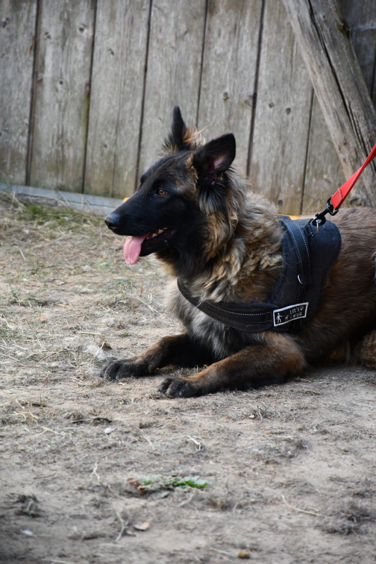 DSC_3763