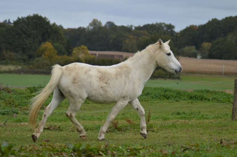 DSC_8107