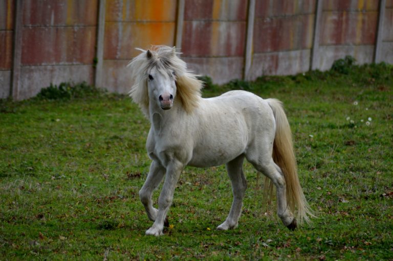 DSC_8198