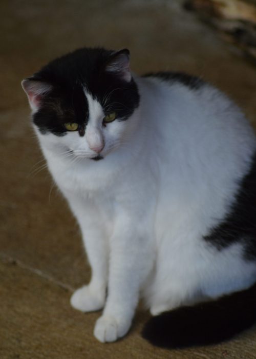 DSC_3205